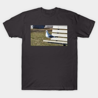 A Gull Standing On A Bench T-Shirt
